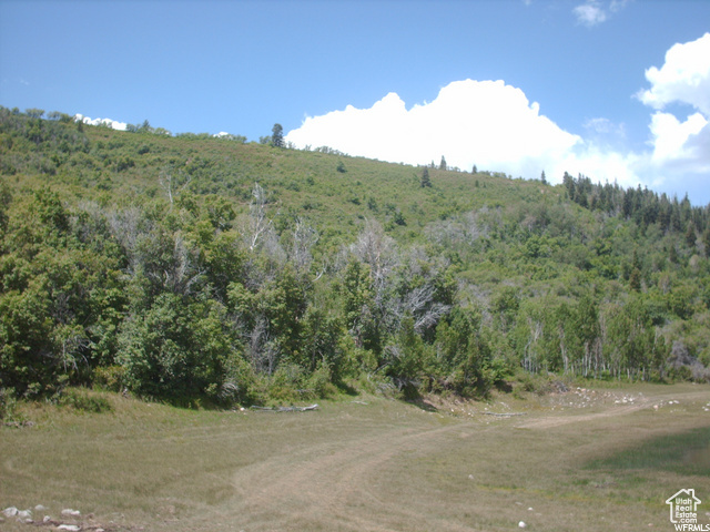 68  Q INDIAN RIDGE DR Indianola, UT 84629