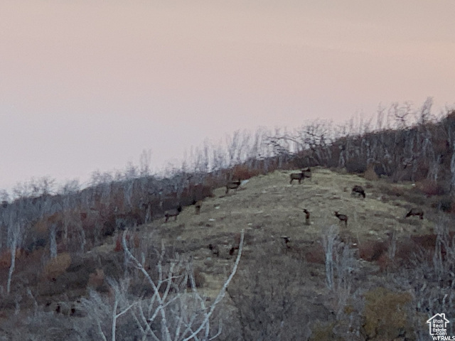68  Q INDIAN RIDGE DR Indianola, UT 84629