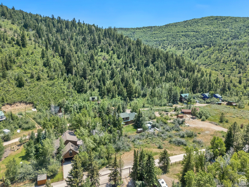 Aerial overview of property\'s location featuring a forest and a mountain backdrop
