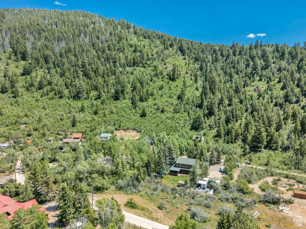 Drone / aerial view of a forest
