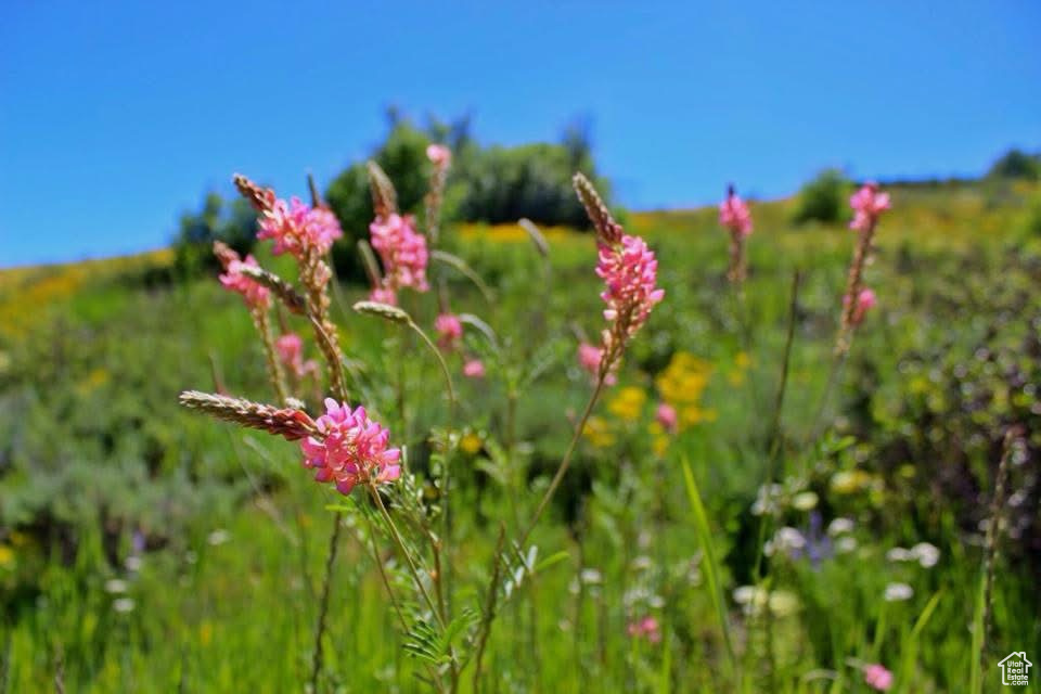  Avon, UT 84328