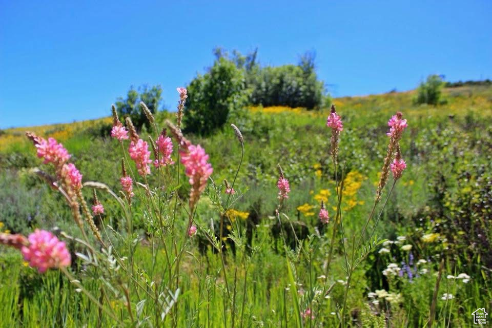  Avon, UT 84328