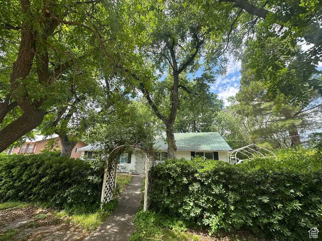 Obstructed view of property with a metal roof