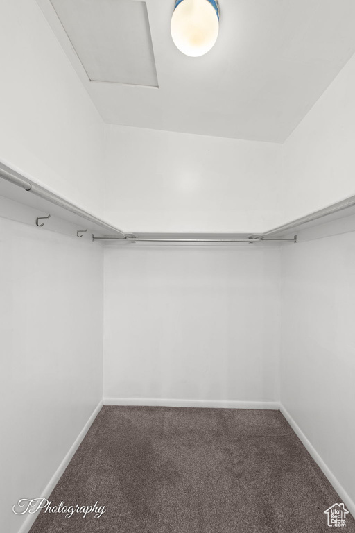 Walk in closet featuring carpet