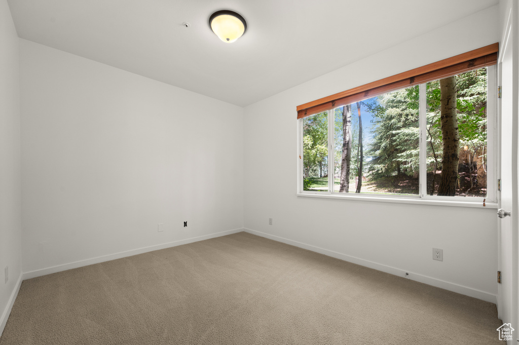 Spare room with baseboards and light carpet