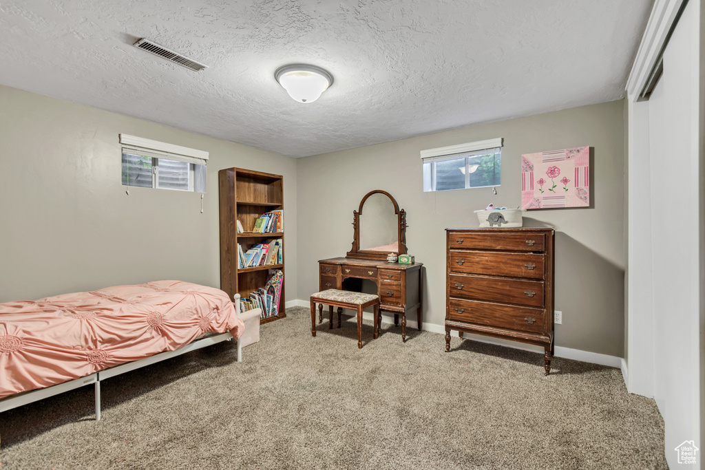 Carpeted bedroom featuring multiple windows and a textured ceiling