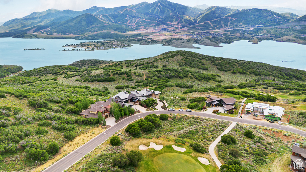 1205  LASSO TRL Hideout, UT 84036