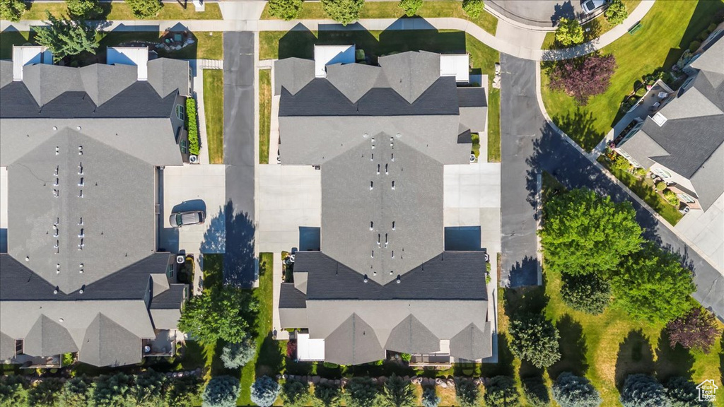 Bird\'s eye view