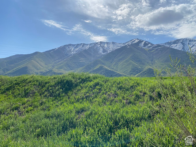 367 E 1400 N Mapleton, UT 84664