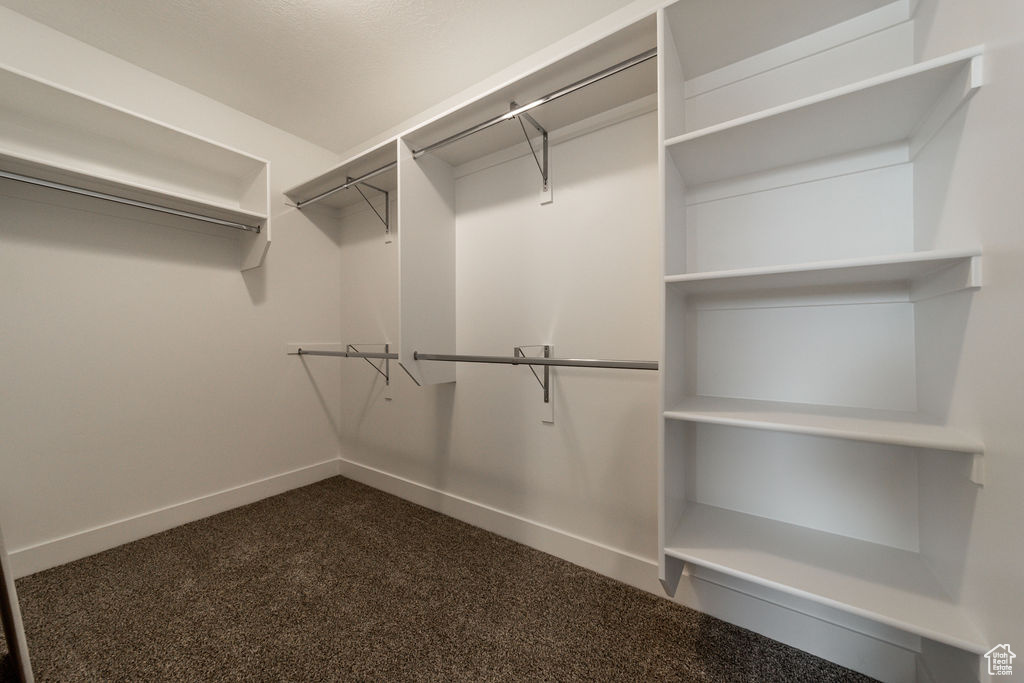 Spacious closet with dark carpet