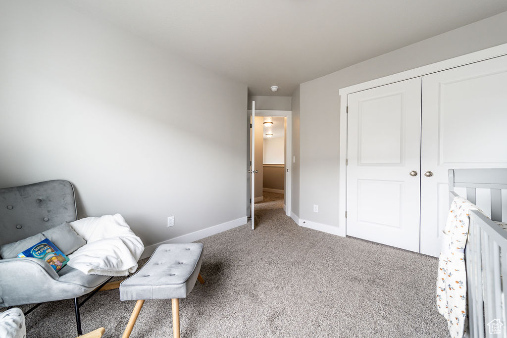 Living area with baseboards and carpet