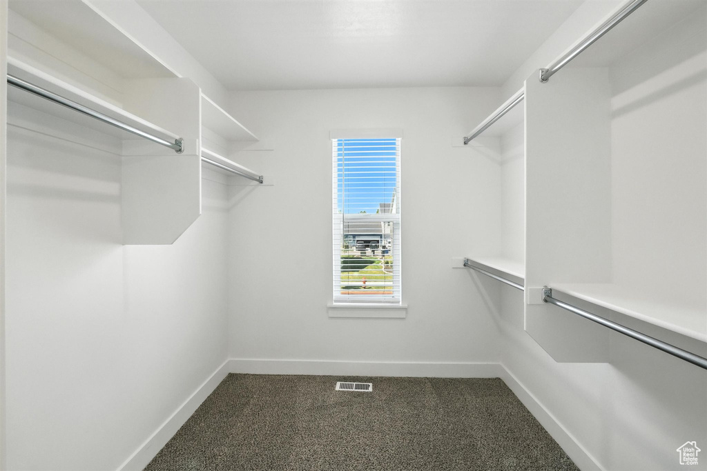 Spacious closet with dark carpet