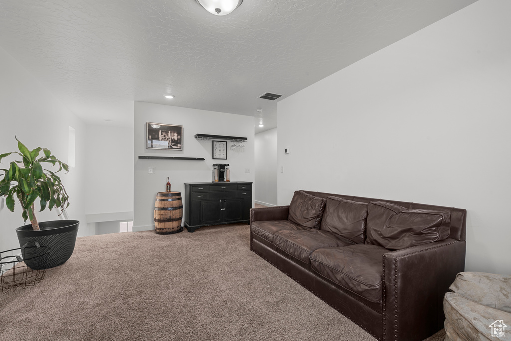 Living room with carpet flooring and a textured ceiling
