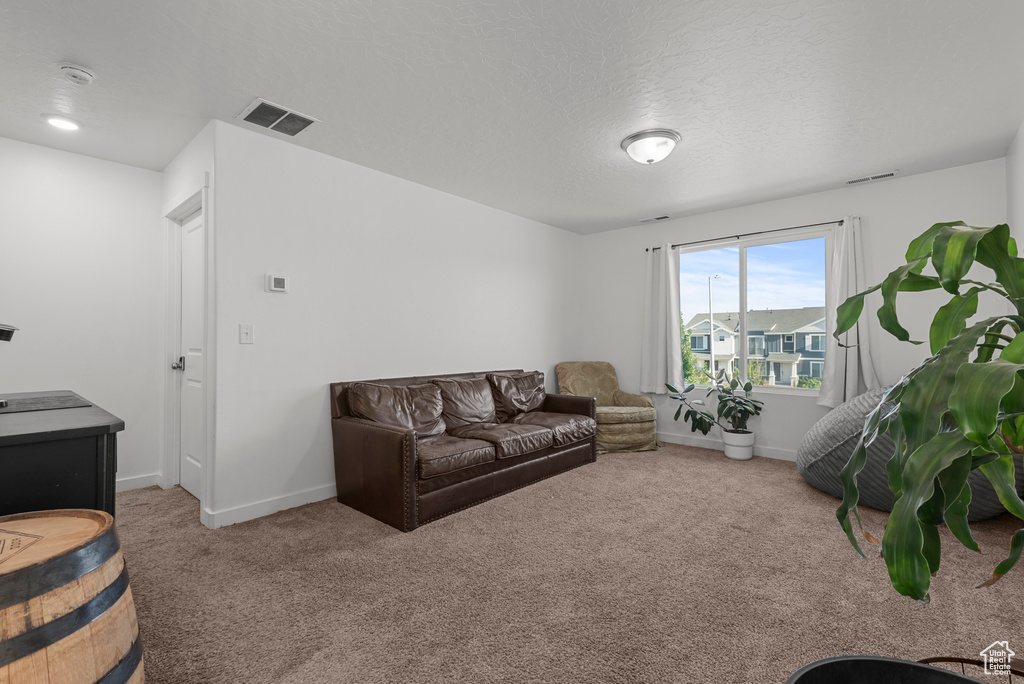 Carpeted living area featuring baseboards and a textured ceiling