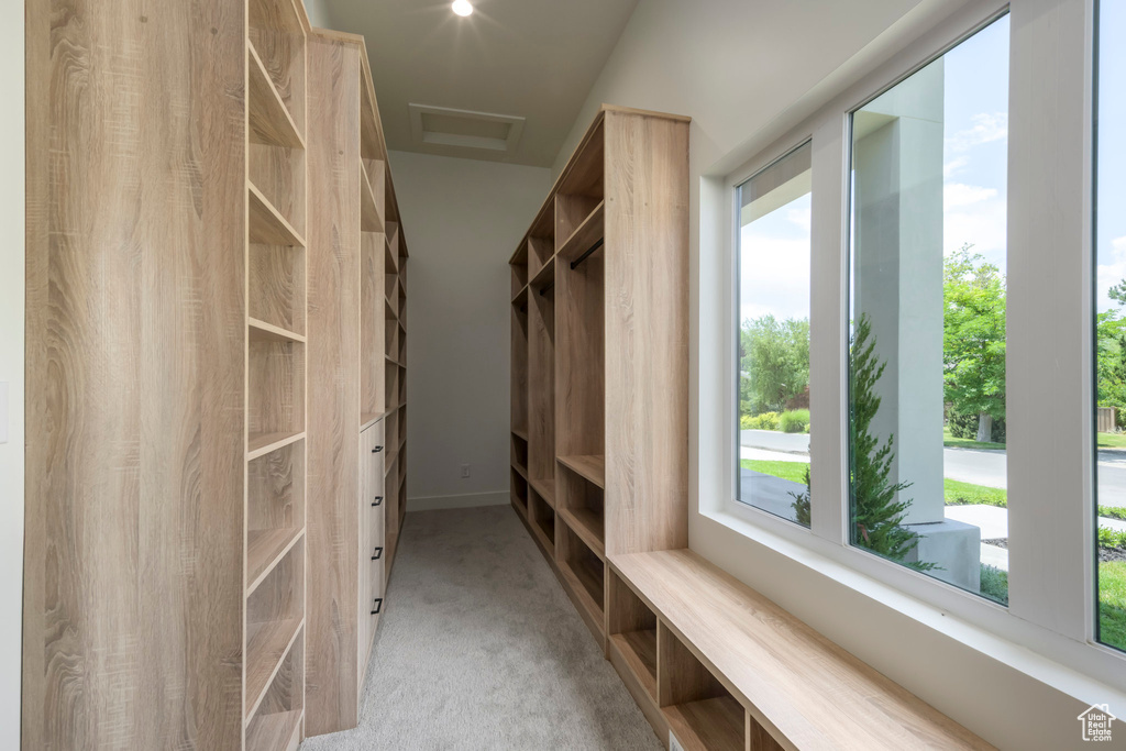 Spacious closet featuring carpet
