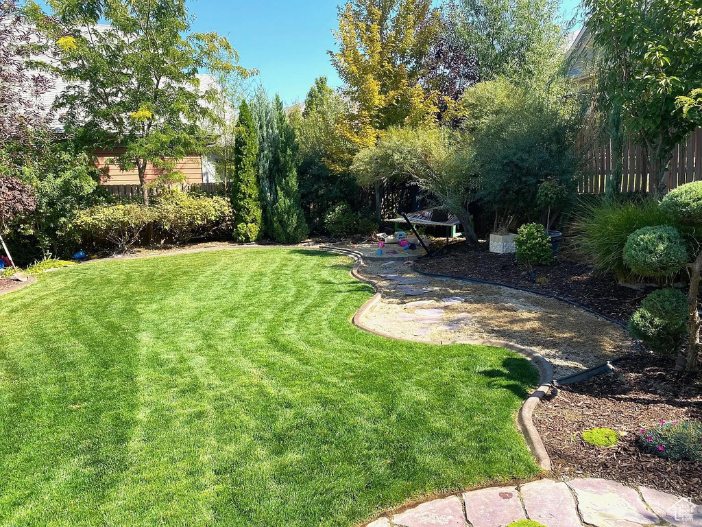 View of grassy yard