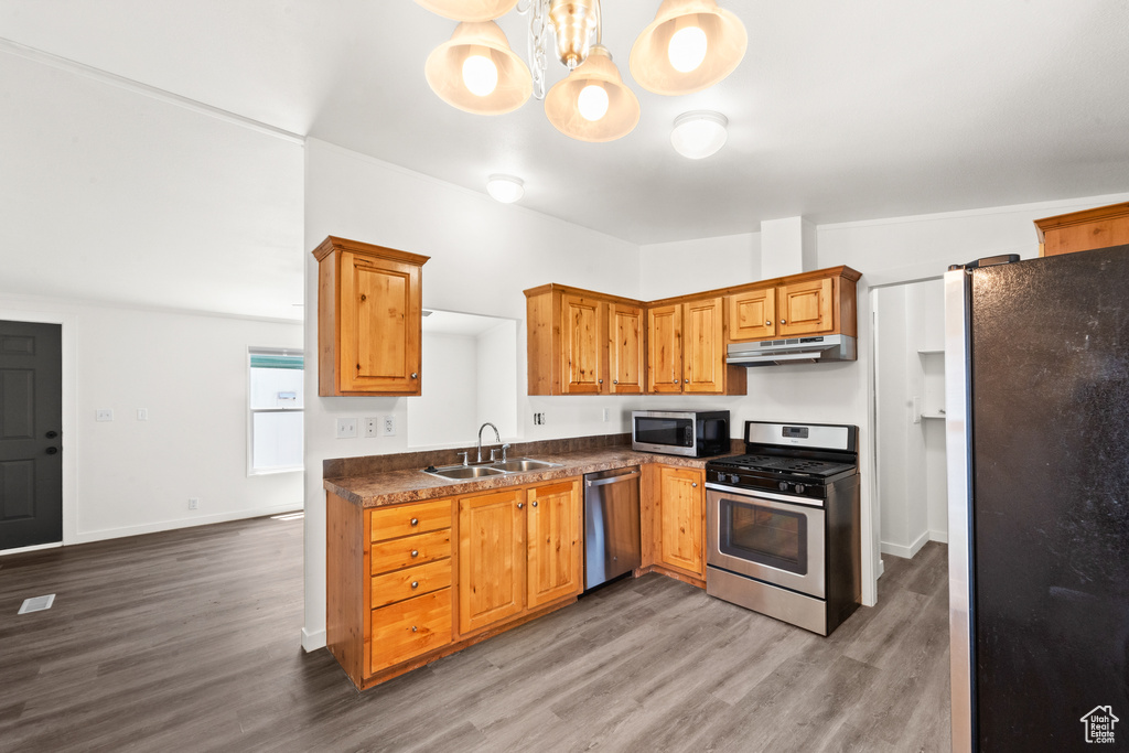 Kitchen with stainless steel appliances, under cabinet range hood, wood finished floors, and dark countertops