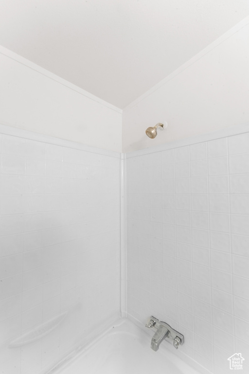 Bathroom with washtub / shower combination