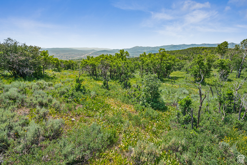 View of mountain background with a forest