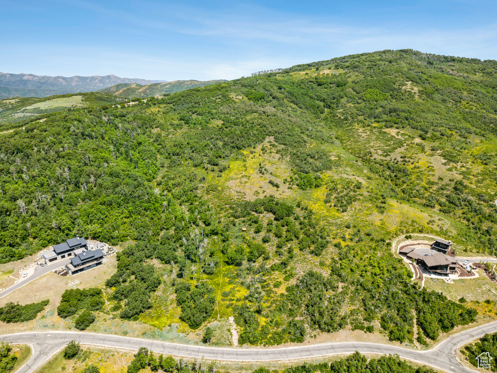 Aerial view of mountains and a heavily wooded area