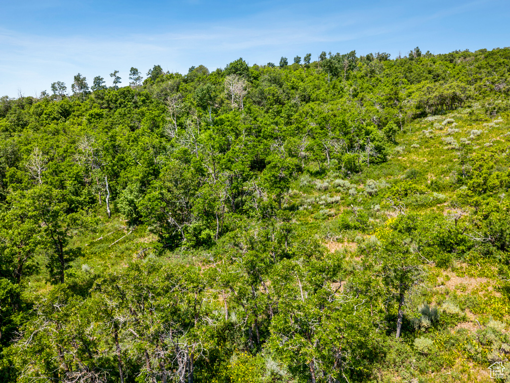 View of woods