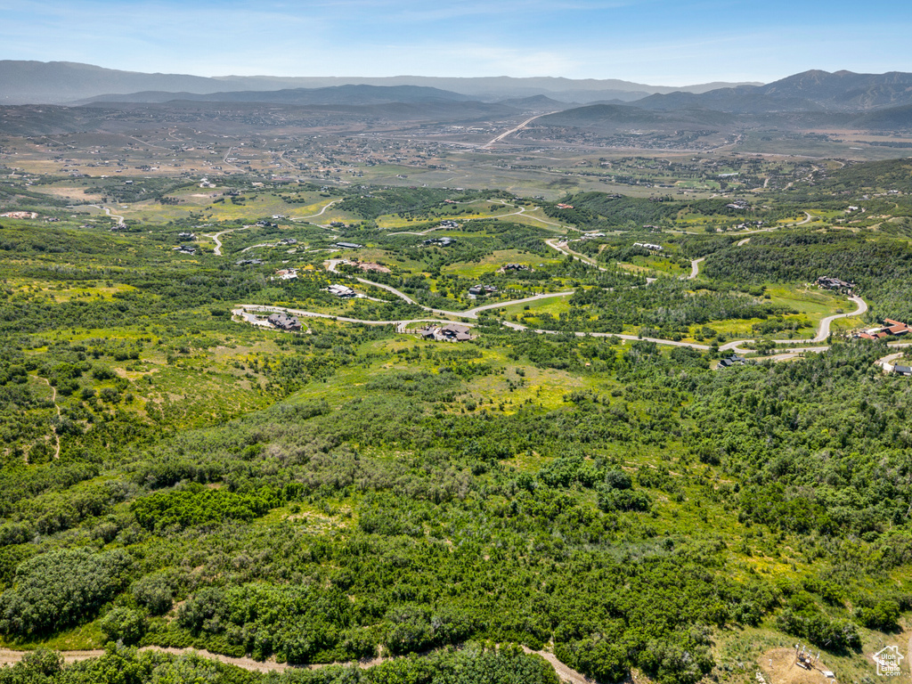 Drone / aerial view of a mountain backdrop