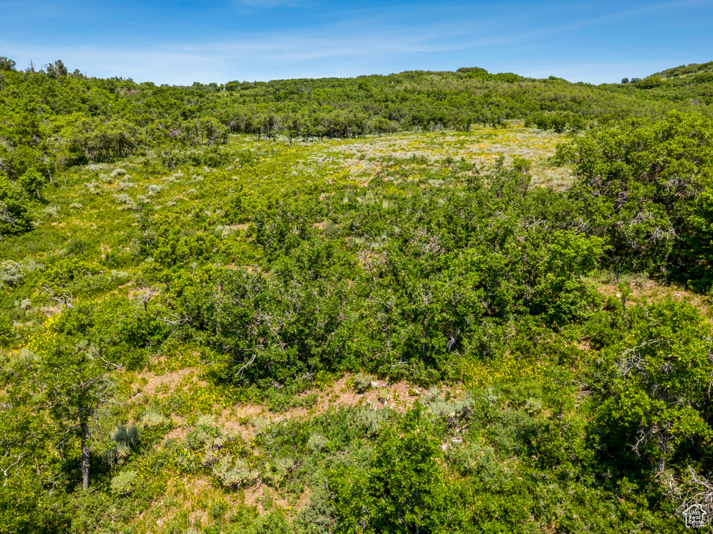 View of wooded area