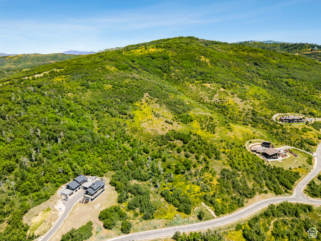 Aerial view of a forest and a mountainous background