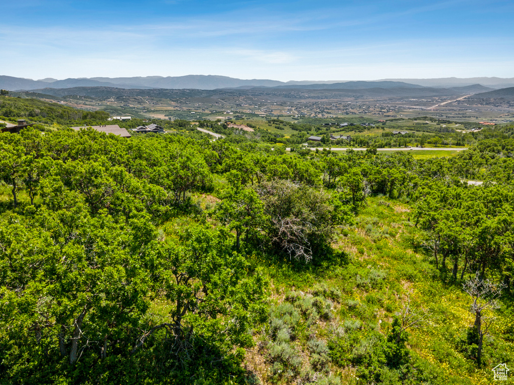 View of mountain backdrop with a heavily wooded area