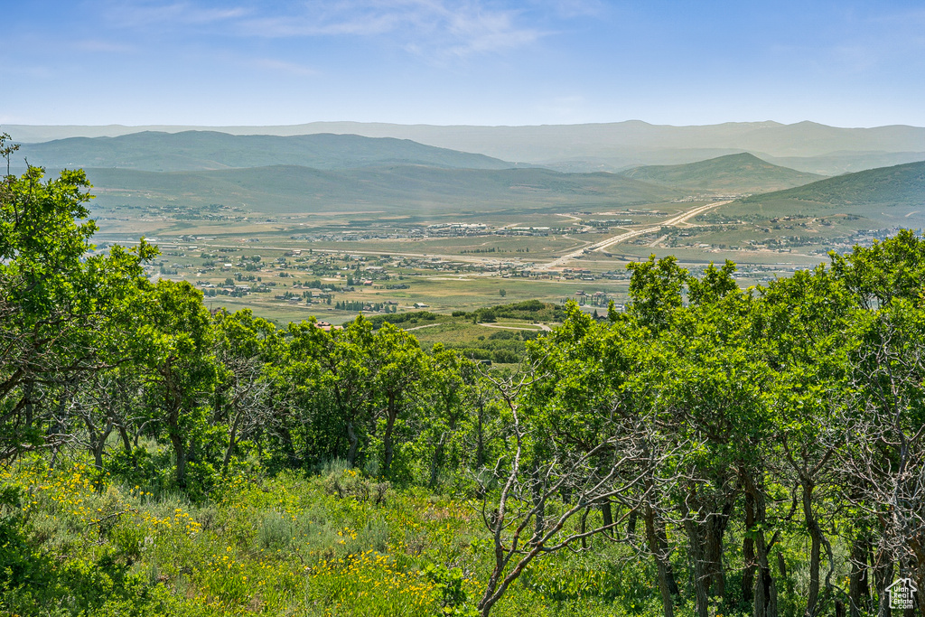 Mountain view