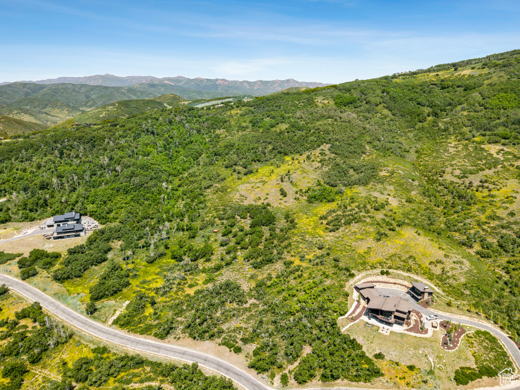Drone / aerial view of a mountainous background and a forest
