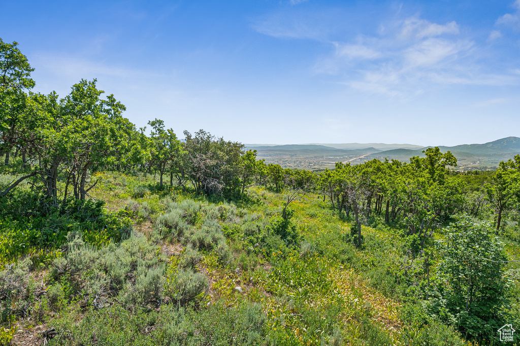 View of mountain background