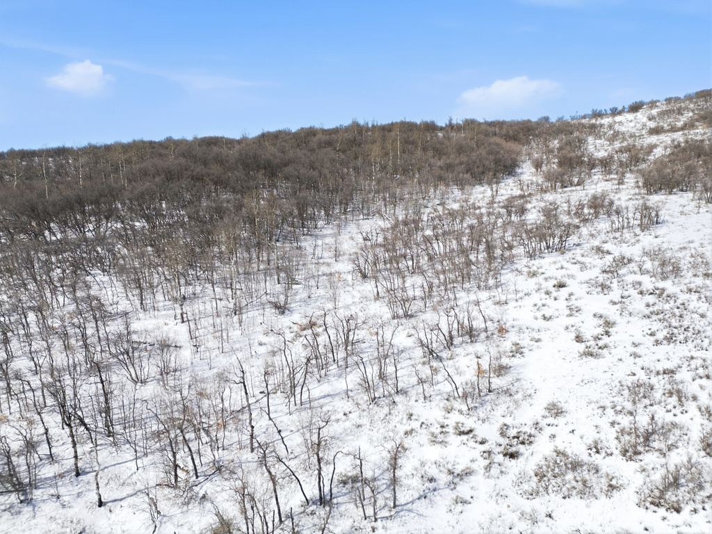 1520  PRESERVE DR Park City, UT 84098