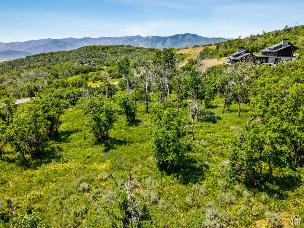 View of mountain background featuring a heavily wooded area