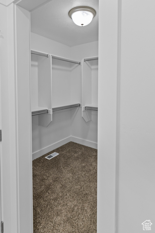 Spacious closet with carpet