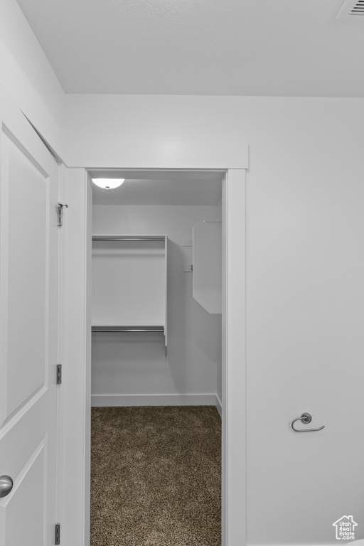 Walk in closet with carpet