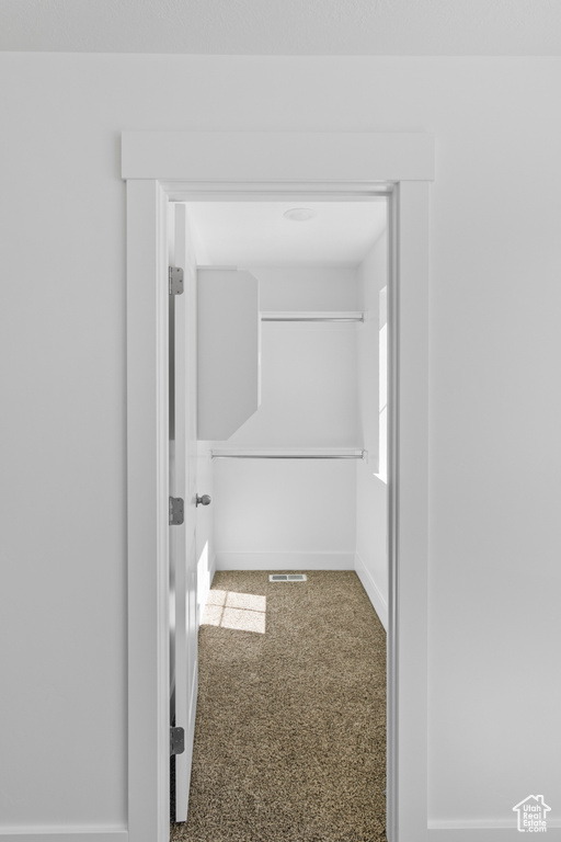 Walk in closet with carpet