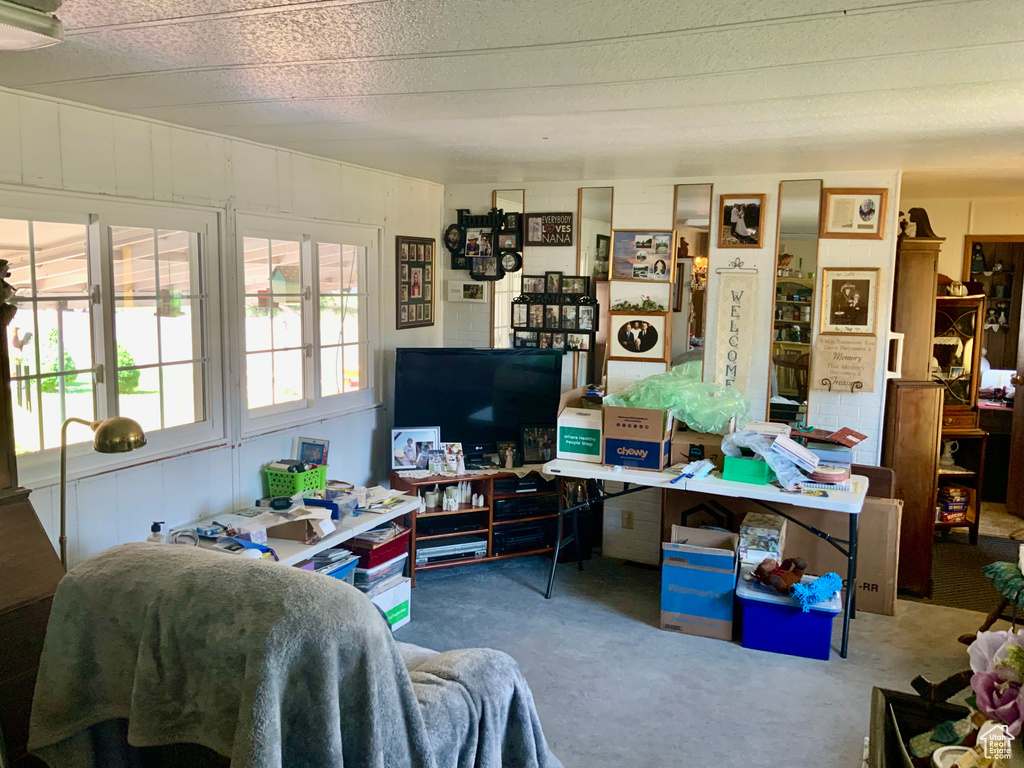 Living room with carpet