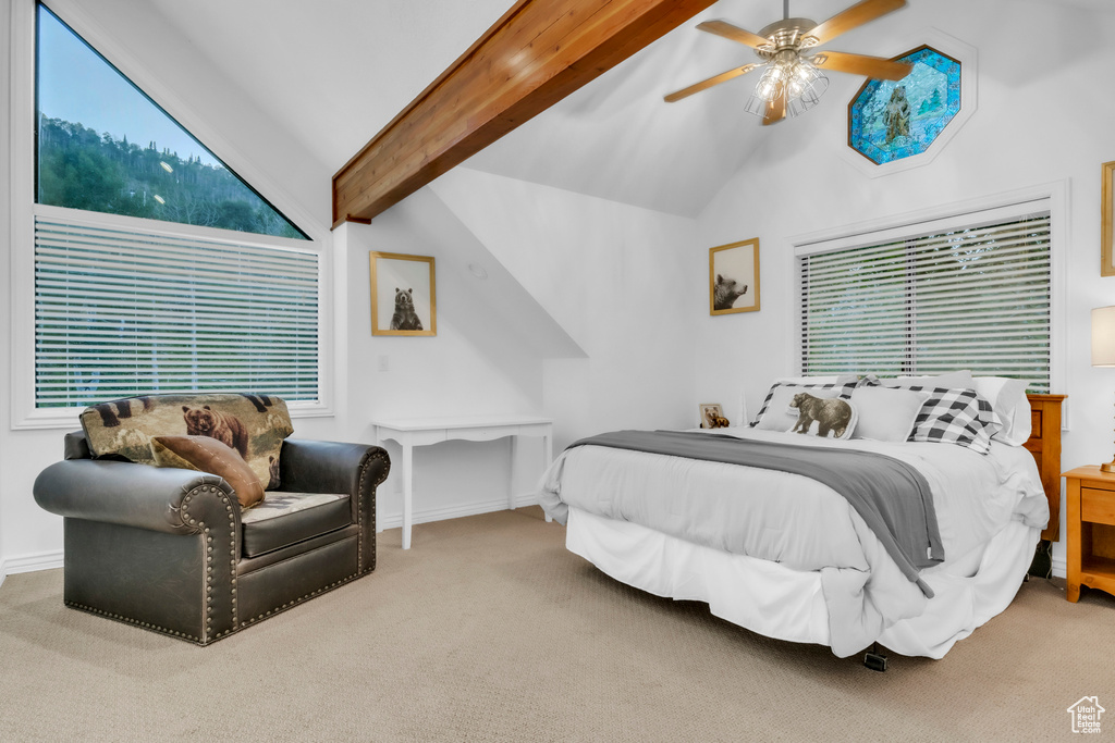 1960 N LAKE DR Scofield, UT 84526