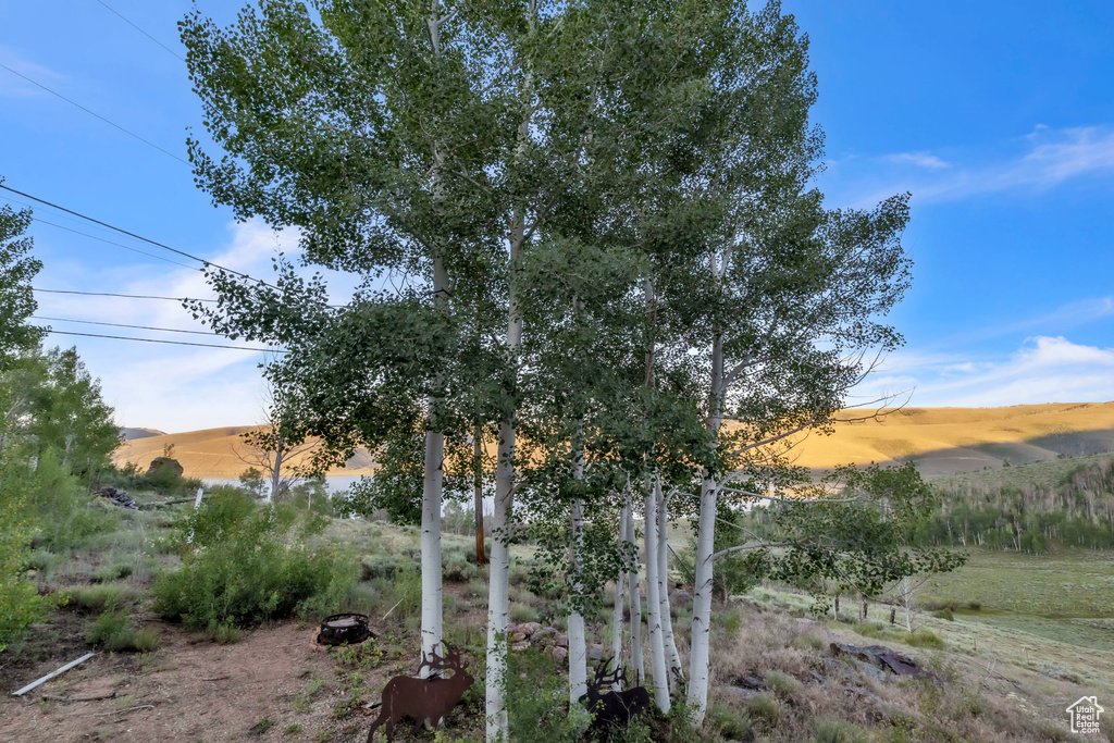 1960 N LAKE DR Scofield, UT 84526