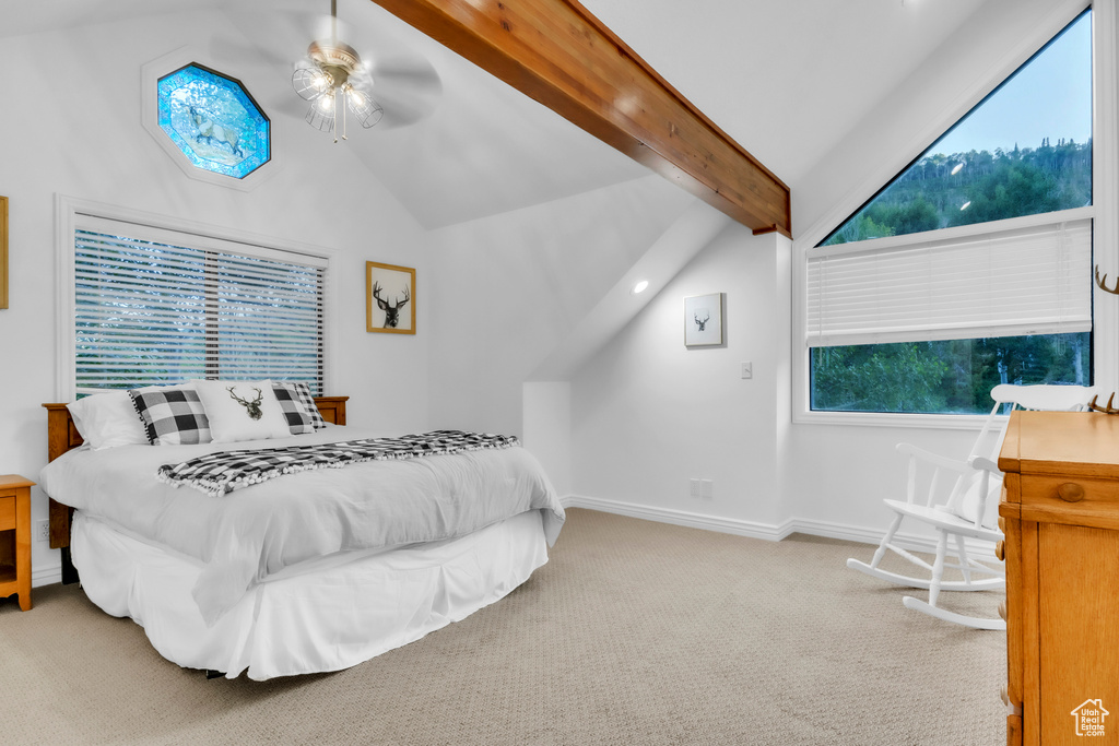 1960 N LAKE DR Scofield, UT 84526