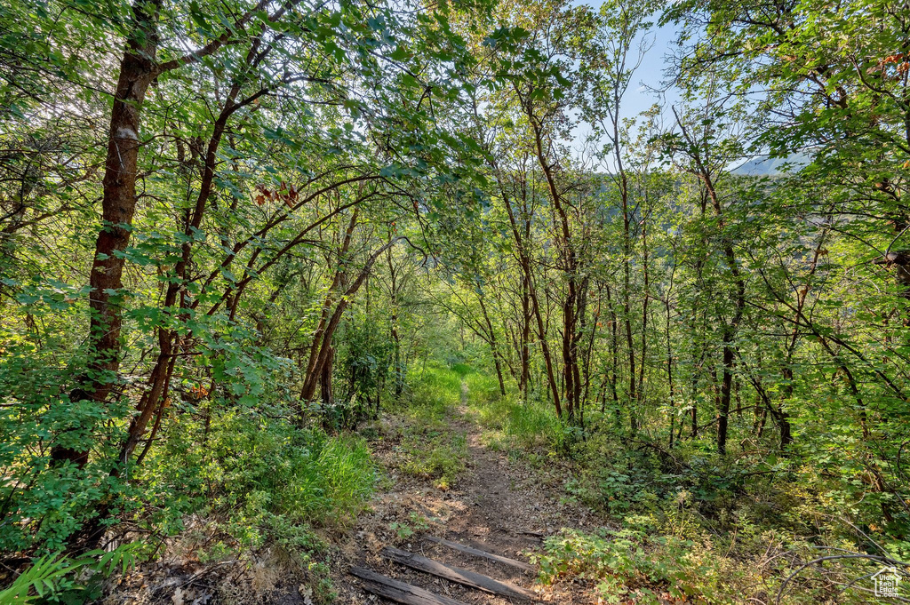 1400 N ASH LN Midway, UT 84049