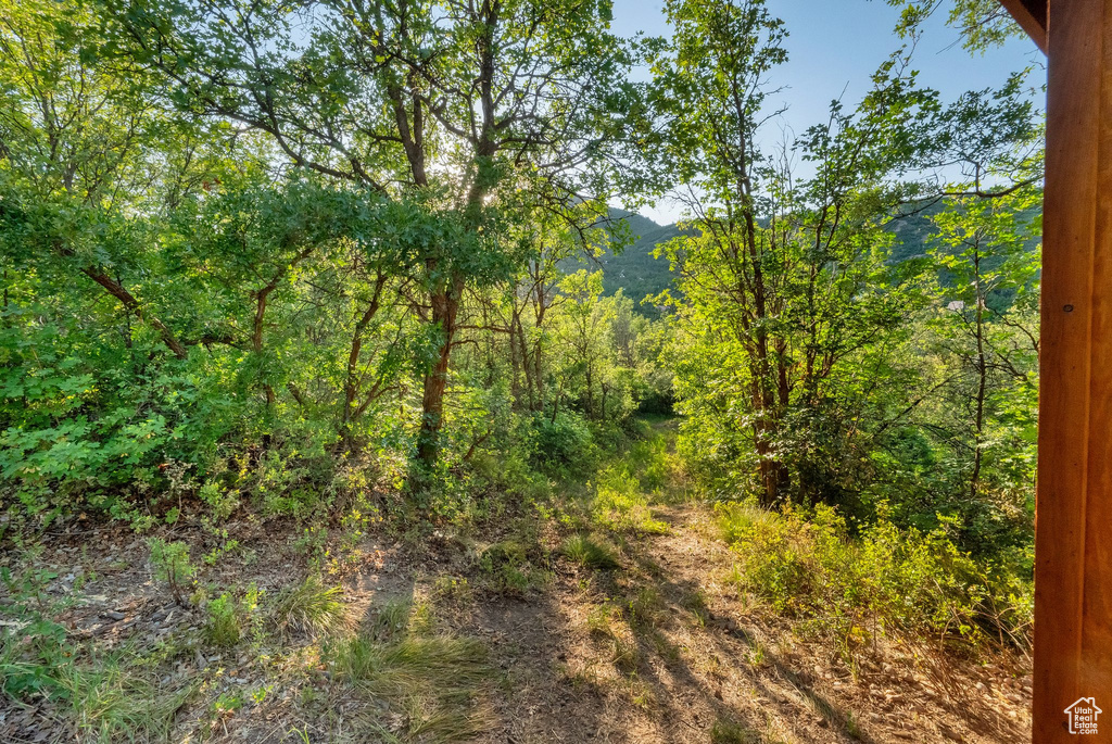 1400 N ASH LN Midway, UT 84049