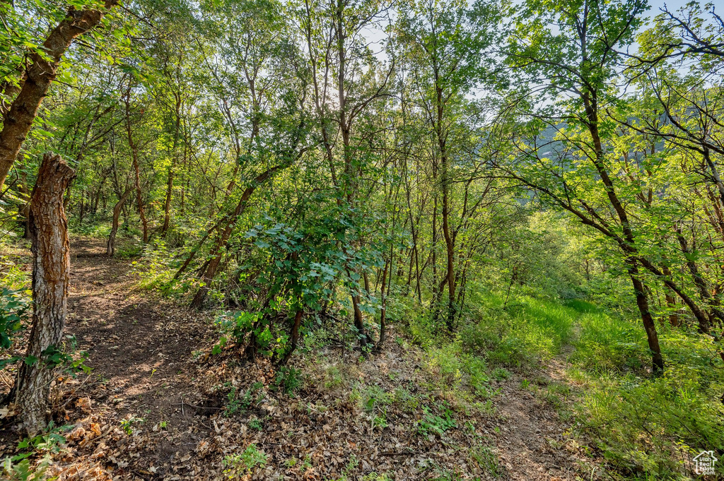 1400 N ASH LN Midway, UT 84049