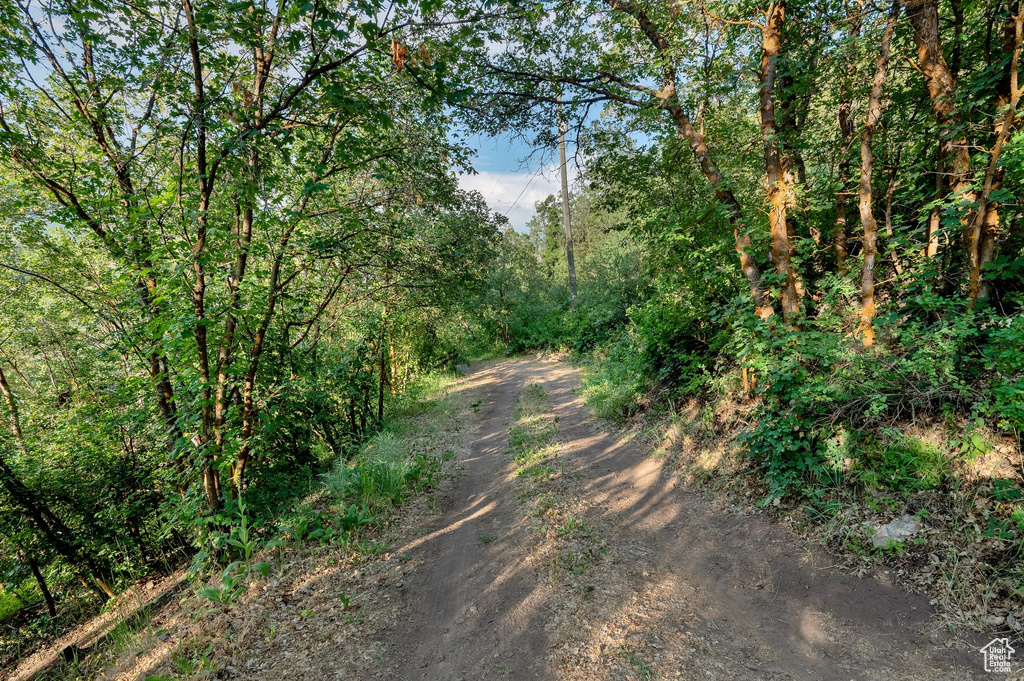 1400 N ASH LN Midway, UT 84049