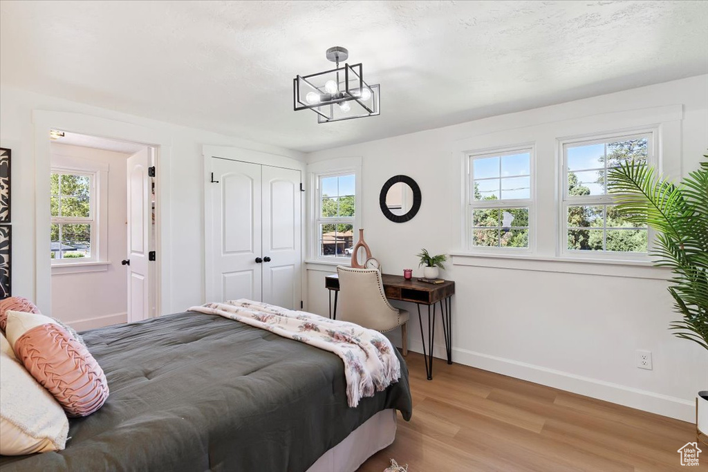 Bedroom with light wood-style floors, multiple windows, and a closet