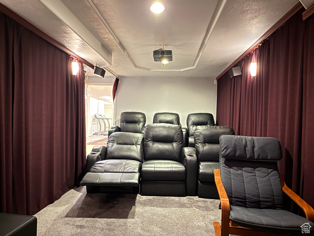 View of carpeted cinema