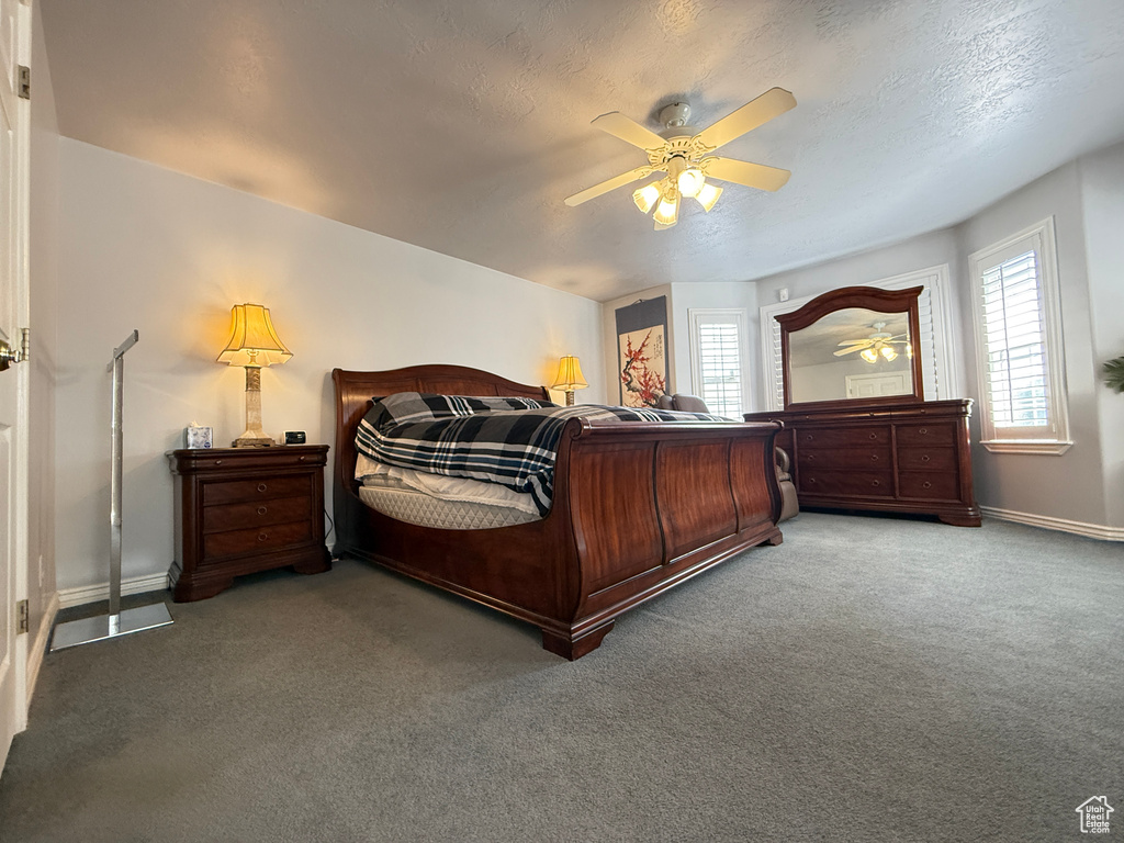 Carpeted bedroom featuring multiple windows and ceiling fan
