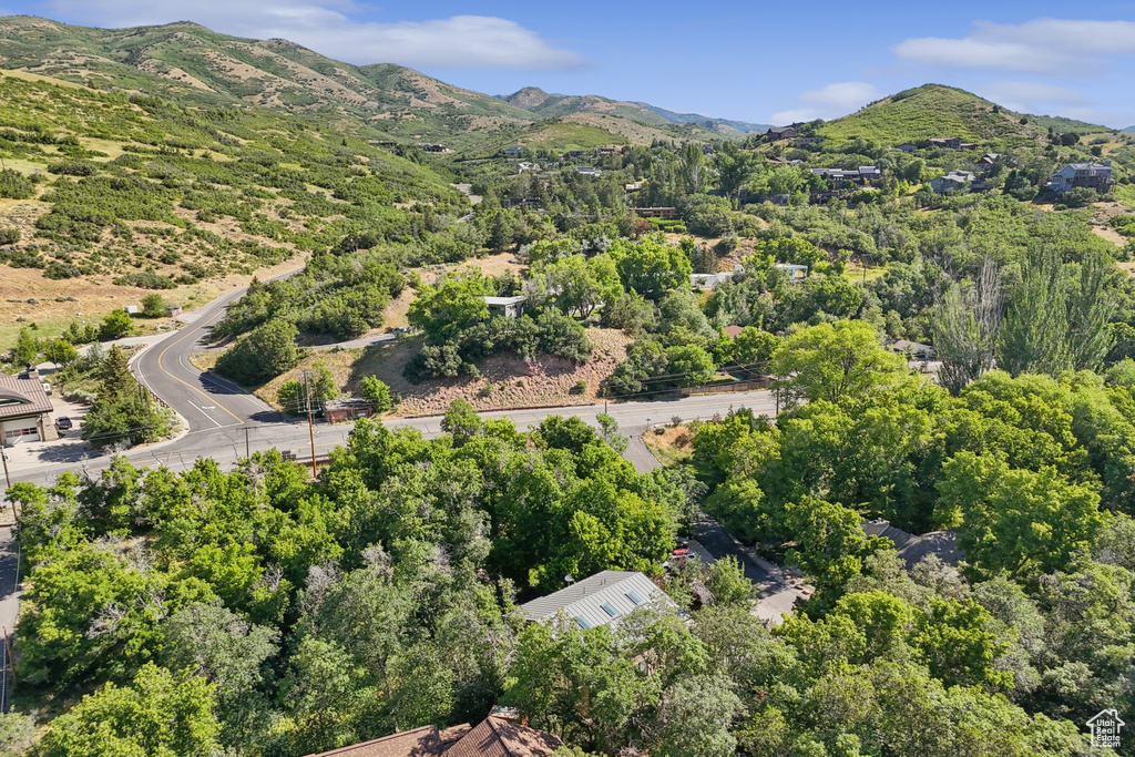 18 S DIANE HOLLOW WAY Emigration Canyon, UT 84108