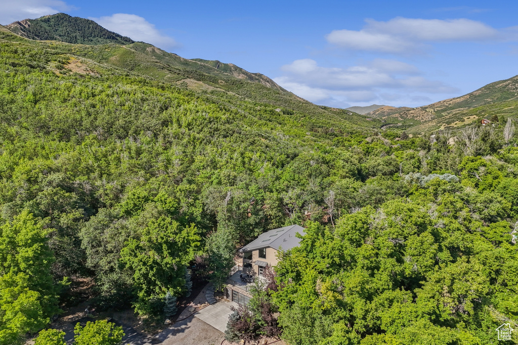 18 S DIANE HOLLOW WAY Emigration Canyon, UT 84108